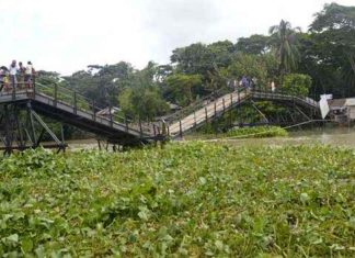 সংস্কারের মাত্র আড়াই মাসের মাথায় ভেঙ্গে পড়লো পিরোজপুরের আয়রন ব্রিজ!