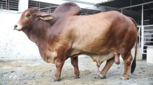 772088d361195cf9ad8f467edda2167e-5d317015bf3a6