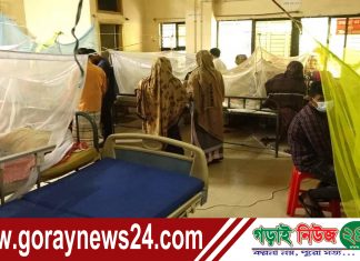 কুষ্টিয়ায় ডেঙ্গু জ্বরে আক্রান্ত হয়ে রাব্বী সর্দার নামের এক যুবকের মৃত্যু