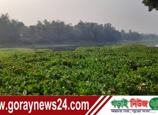 কুষ্টিয়ার ভেড়ামারা উপজেলার চন্দনা নদীতে খনন কাজ না করেই প্রকল্পের টাকা হরিলুট!