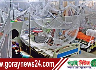 ডেঙ্গুতে চারজনের মৃত্যু, হাসপাতালে ভর্তি ৮৯৬