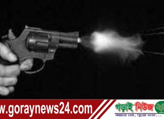 দৌলতপুরে নিরীহ গ্রামবাসীর উপর গুলিবর্ষণ!