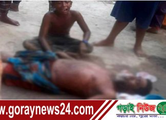 দৌলতপুরে গরুতে পাটগাছ খাওয়া নিয়ে সংঘর্ষে নিহত ২