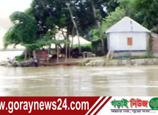 দৌলতদিয়ায় বিপৎসীমা ছুঁই ছুঁই করছে পদ্মা