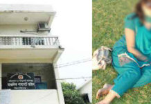 ঝিনাইদহ পাসপোর্ট অফিসের উপ-সহকারী পরিচালক আব্দুল মোত্তালেব সরকারের বিরুদ্ধে যৌন হয়রানীর অভিযোগ