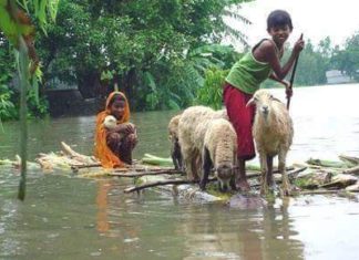 বন্যা-পরবর্তী করণীয় সম্পর্কে সরকারকে পরামর্শ দেবে আ.লীগ