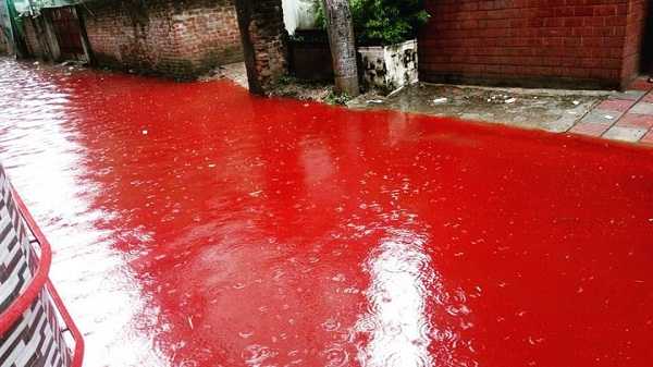 blood-river_dhakatimes_127853_0