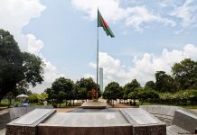 গৌরবময় ৪৬তম বিজয় দিবস আজ