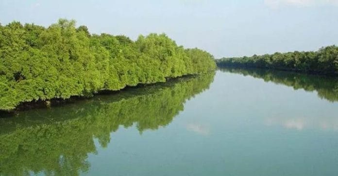 ঈদে পর্যটক বরণে প্রস্তুত সুন্দরবন ও ষাটগম্বুজ মসজিদ 3